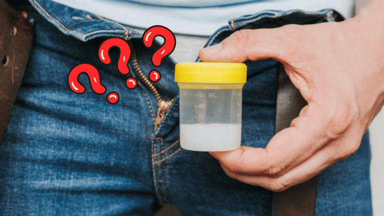 mythes et questions sur le sperme secrets de la semence